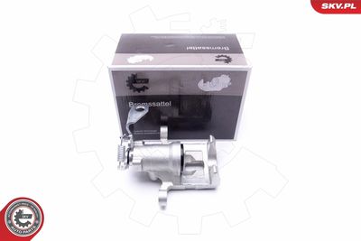 Brake Caliper 46SKV913