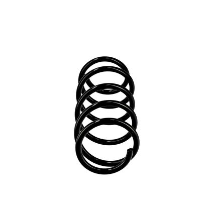 ARC SPIRAL EIBACH R10116 13