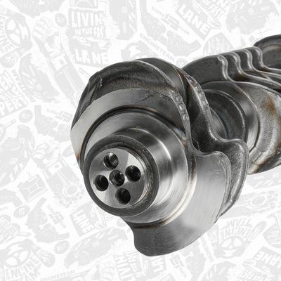 ARBORE COTIT ET ENGINETEAM HK0212 5