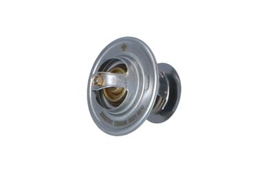 TERMOSTAT LICHID RACIRE NRF 725036 12
