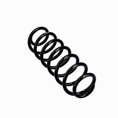 ARC SPIRAL EIBACH R10793 11