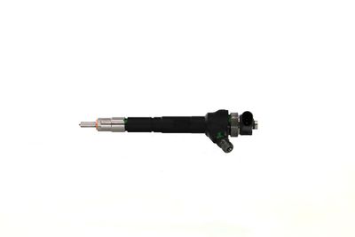 INJECTOR REMANTE 002003001751R 14