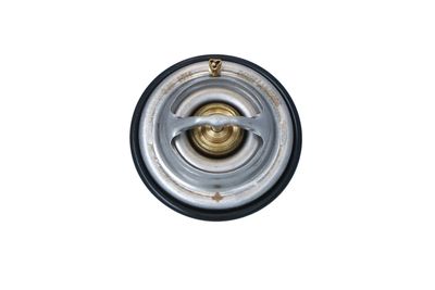 TERMOSTAT LICHID RACIRE NRF 725075 7
