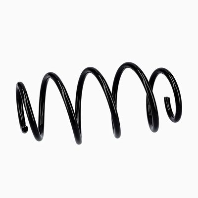 ARC SPIRAL EIBACH R10302 18