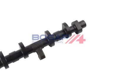 ARBORE EXCENTRIC REGLAREA ARBORELUI CU CAME BOGAP B1924100 2