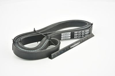 CUREA TRANSMISIE CU CANELURI FEBEST 881275L1885 45