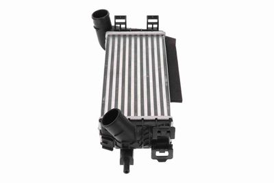 INTERCOOLER COMPRESOR VEMO V25600071 5