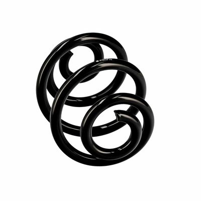 ARC SPIRAL EIBACH R10030 24