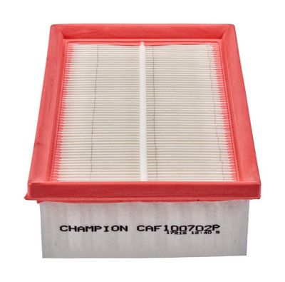 CHAMPION Oro filtras