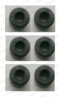 PAYEN HR299 Сальники клапанів для JAGUAR (Ягуар)