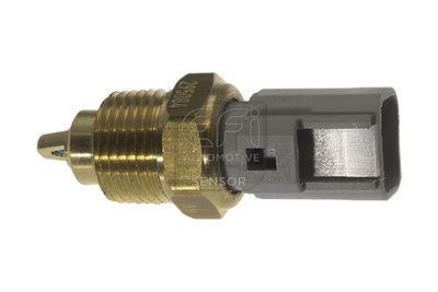 датчик, външна температура EFI AUTOMOTIVE 295084