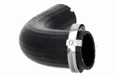 FURTUN EAR SUPRAALIMENTARE ACKOJA A520882 5