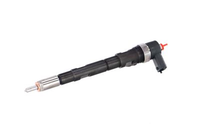 INJECTOR REMANTE 002003000018R 10