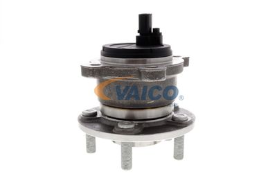 RADNABE VAICO V251447 24