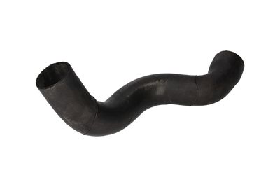 FURTUN EAR SUPRAALIMENTARE BIRTH 55647 6