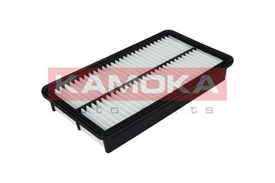 Air Filter F207201