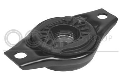 RULMENT SARCINA SUPORT ARC OCAP 8400182