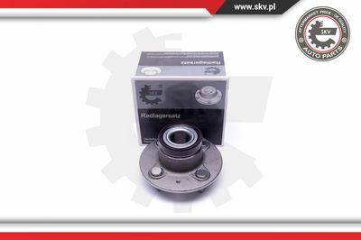 Комплект подшипника ступицы колеса ESEN SKV 29SKV403 для HONDA INSIGHT