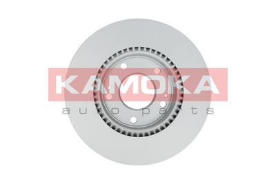 Brake Disc 1031040