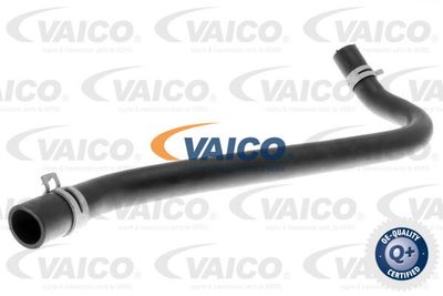 Шланг, вентиляция картера VAICO V25-1228 для FORD TRANSIT
