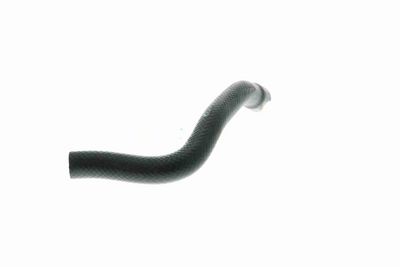 FURTUN RADIATOR VAICO V201649 4