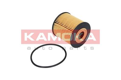 Oil Filter F107801