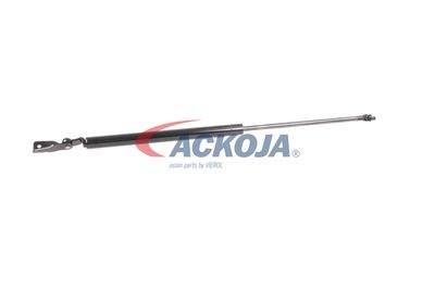 AMORTIZOR PORTBAGAJ ACKOJA A320095 59