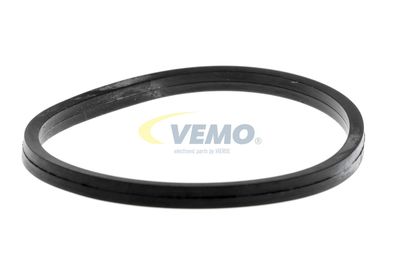GARNITURA TERMOSTAT VEMO V30999005 53