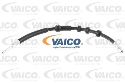 VAICO V10-4209 Гальмівний шланг 