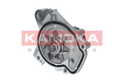 Water Pump, engine cooling T0148