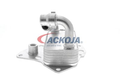 RADIATOR ULEI ULEI MOTOR VEMO V24600051 25