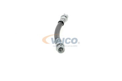 FURTUN FRANA VAICO V104114 38