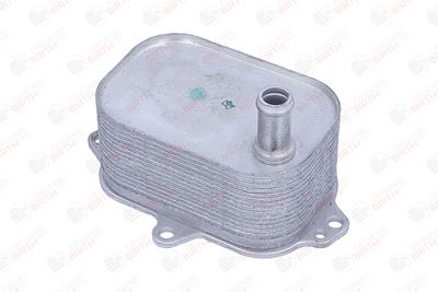 RADIATOR ULEI ULEI MOTOR BIRTH 80845 7