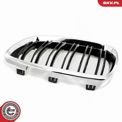 GRILA RADIATOR ESEN SKV 66SKV110 7