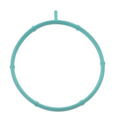 DICHTUNG ANSAUGKRüMMERGEHäUSE