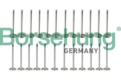 SET SUPAPE SUPAPă ADMISIE/EVACUARE Borsehung B13404