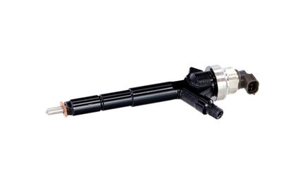 INJECTOR REMANTE 002003000192R 8