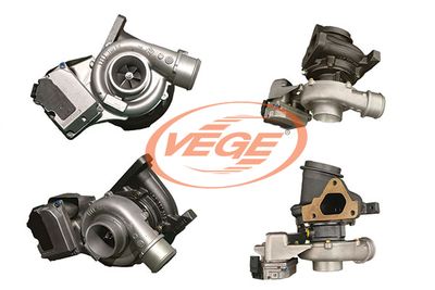 LADER AUFLADUNG VEGE 01991903 5