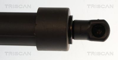 Plynárenská vzpera (pneumatická pružina), zavazadlový priestor TRISCAN 8710 28310