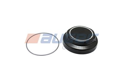Wielnaafdeksel M135/2mm (wieldop) past: BPW