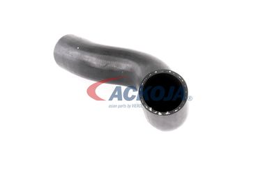 FURTUN EAR SUPRAALIMENTARE ACKOJA A380307 19