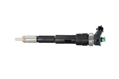 INJECTOR REMANTE 002003002237R 14