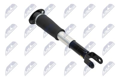 AMORTIZOR NTY ACH007 12