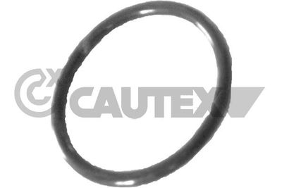 Прокладка, трубопровод охлаждаю CAUTEX 758519 для MAZDA XEDOS