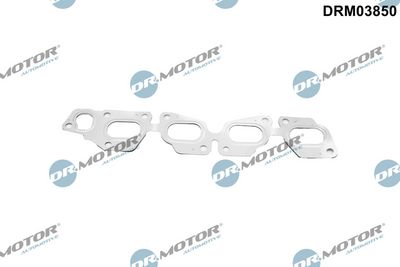 Dr.Motor Automotive Tarpiklis, išleidimo kolektorius