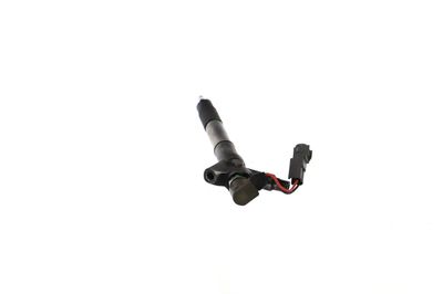 INJECTOR REMANTE 002003001324R 22
