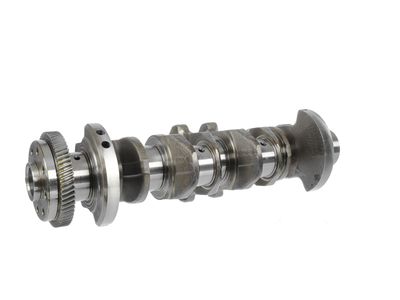 ARBORE COTIT ET ENGINETEAM HK0183 17