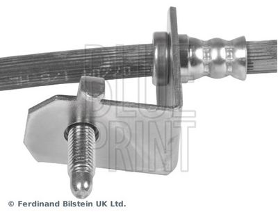 FURTUN FRANA BLUE PRINT ADZ95343 2