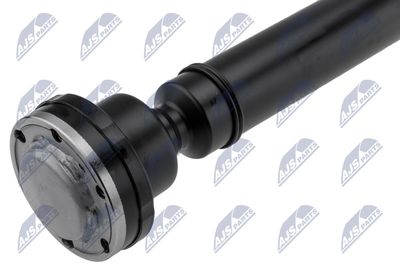 AX CARDANIC ANTRENAREA ARBORELUI NTY NWNLR008 3