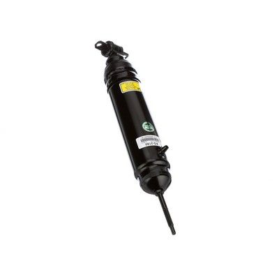 LUFTFEDERBEIN Arnott AS2190 70